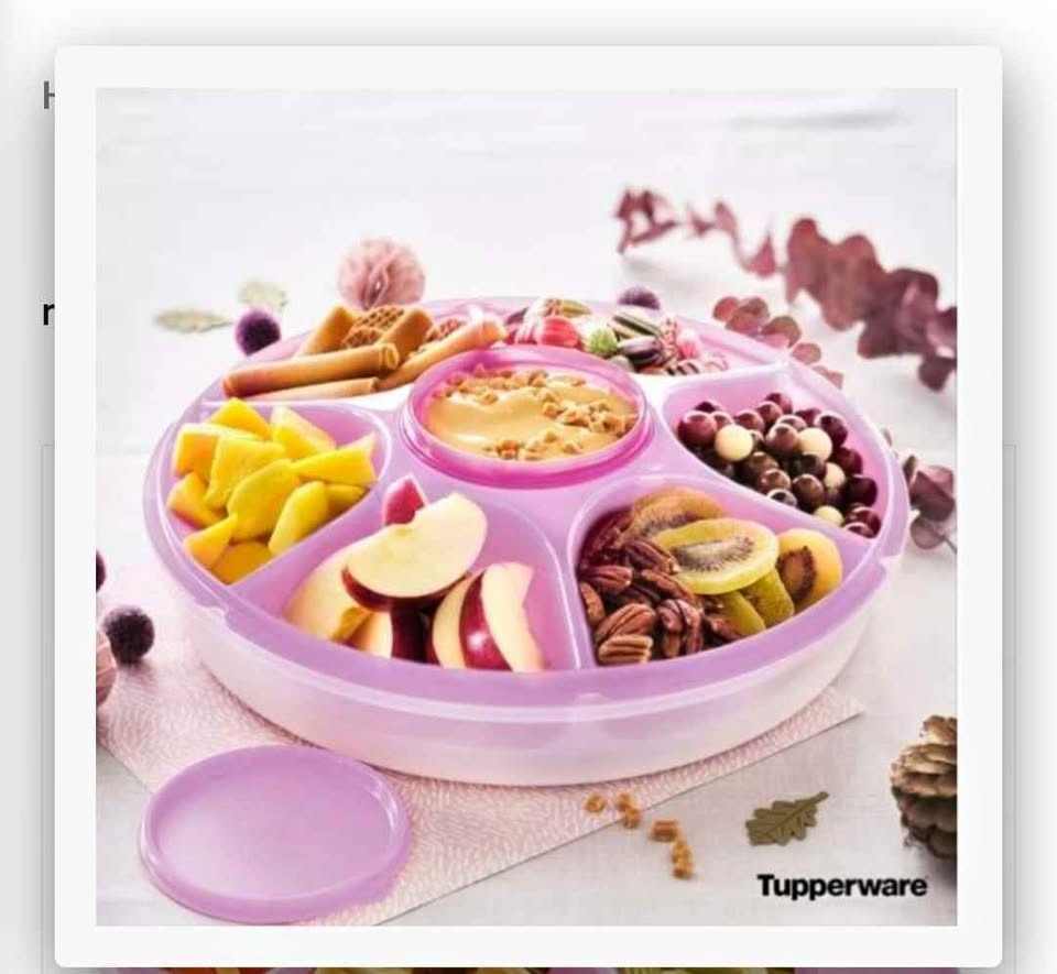 Tupperware big size