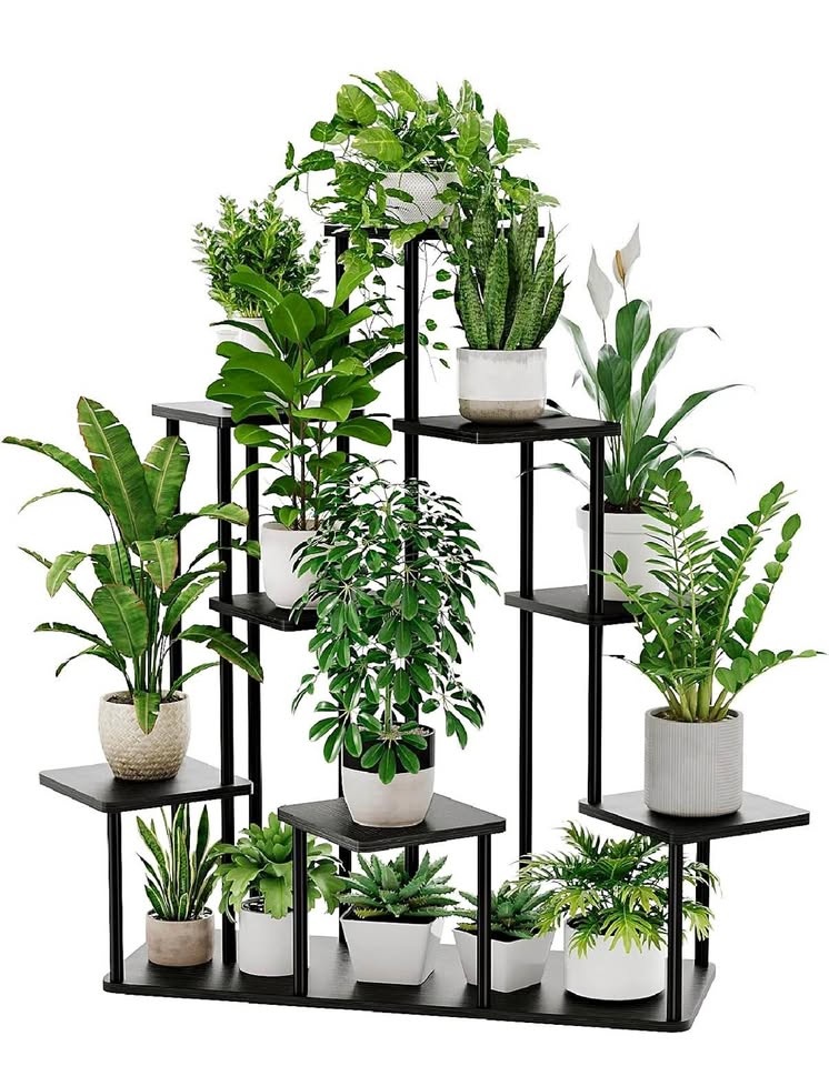 Bamworld 9-Tier Tall Metal Plant Stand - Assembled 🥕