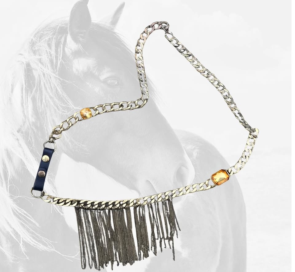 Giddyup Fringed Necklace
