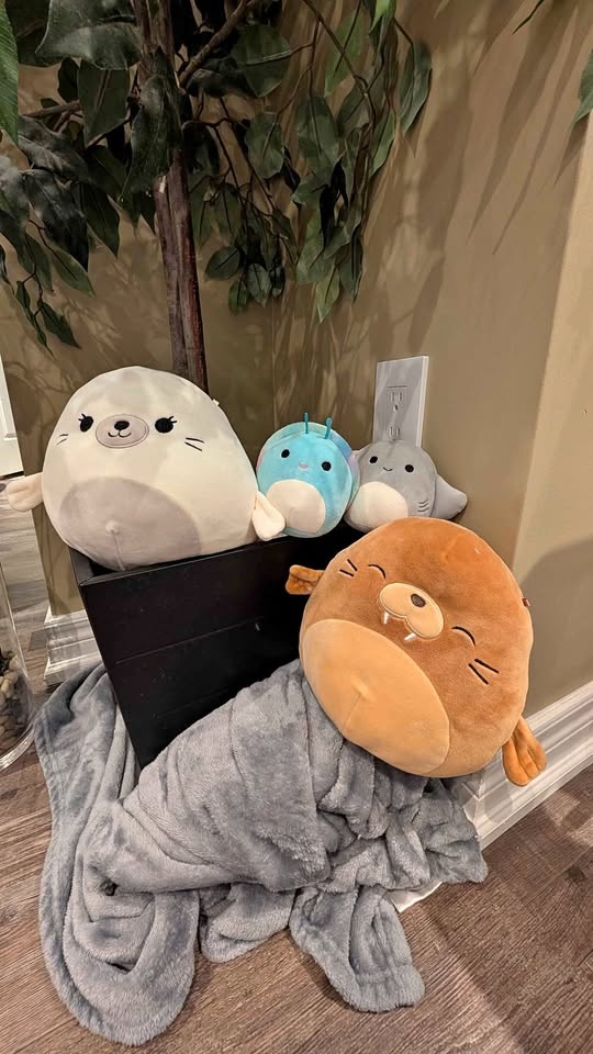 Squishmallow Animal Bundle (4 Plush) 🦦🦭
