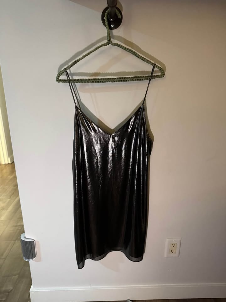 Silver Wilfred Dress - photo 3