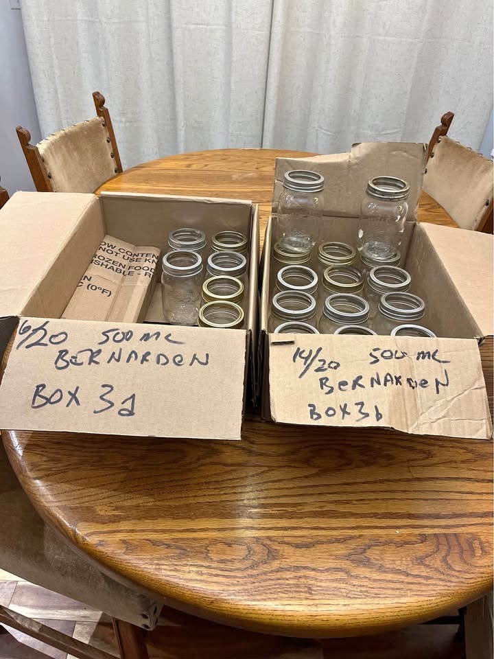 20 Bernardin 500 mL Regular Mouth Canning Jars with Rings (#3)