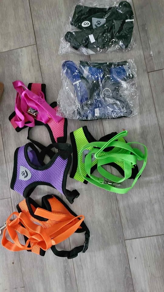Harness for small dog or cat