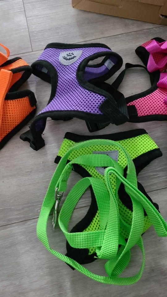 Harness for small dog or cat - photo 3