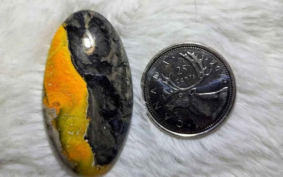 Bumblebee Jasper Cabochons - photo 5