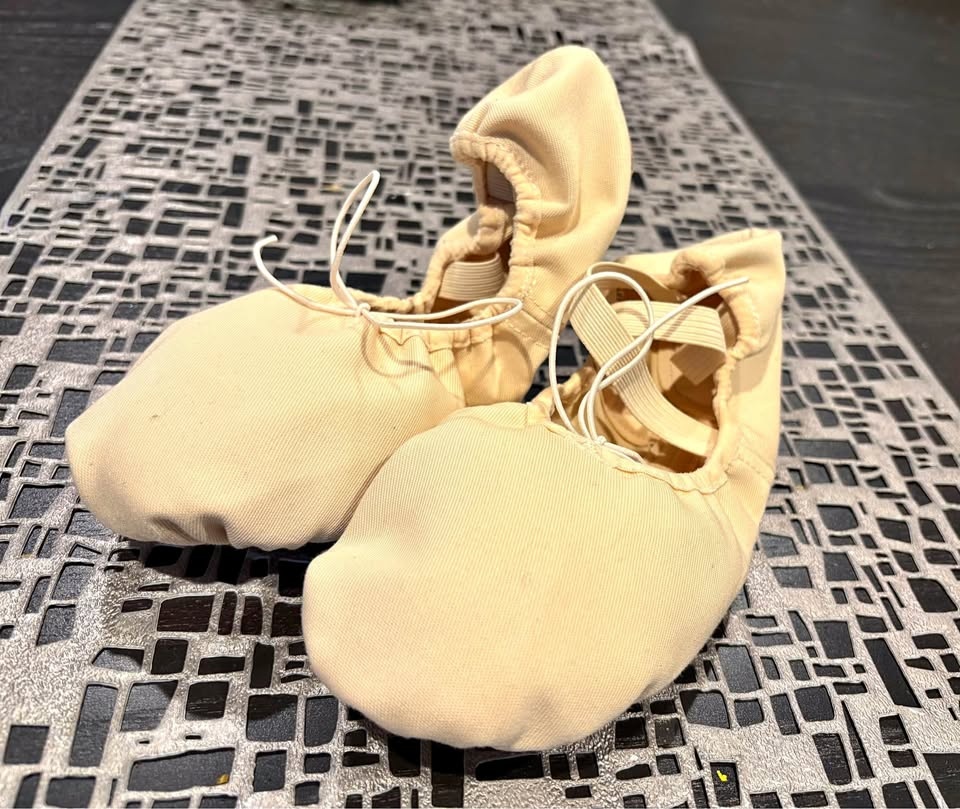 Angelo Luzio ballet slippers: women 6.5 never used. Pick up only
