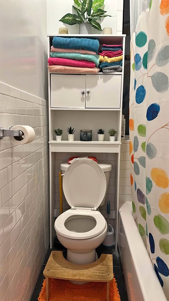 Over the toilet shelf