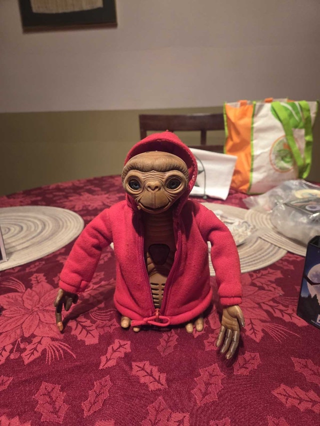 E.T. with red Hoodie - photo 4