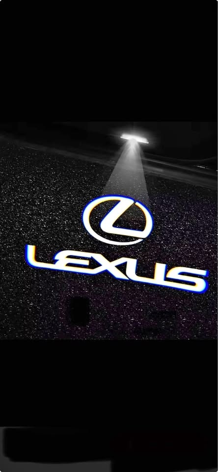 Lexus door lights