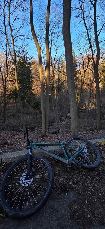 Specialized Rockhopper Sport Pine Green L - photo 4