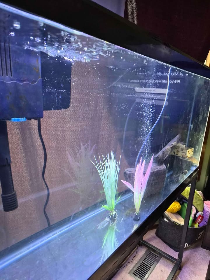 Fish tank 60 gallon - photo 3