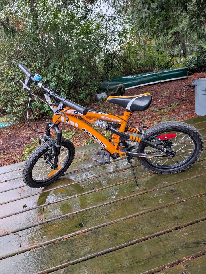 Bike 16-in wheel