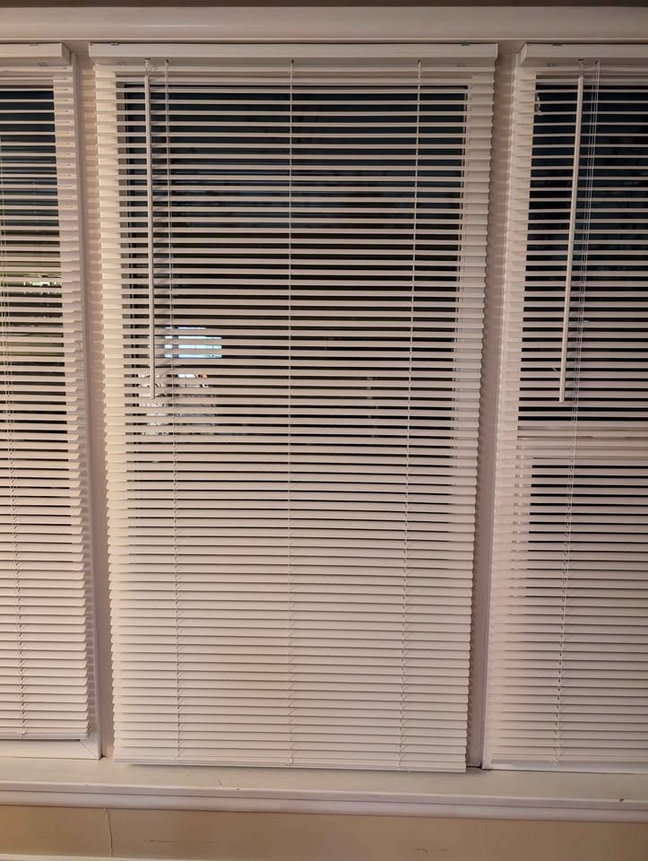 White Blinds - photo 2