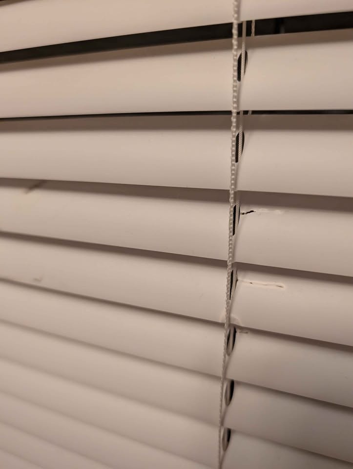 White Blinds - photo 4