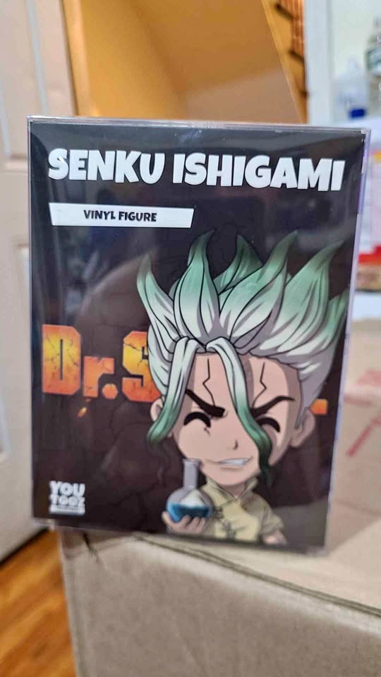 Dr Stone figure