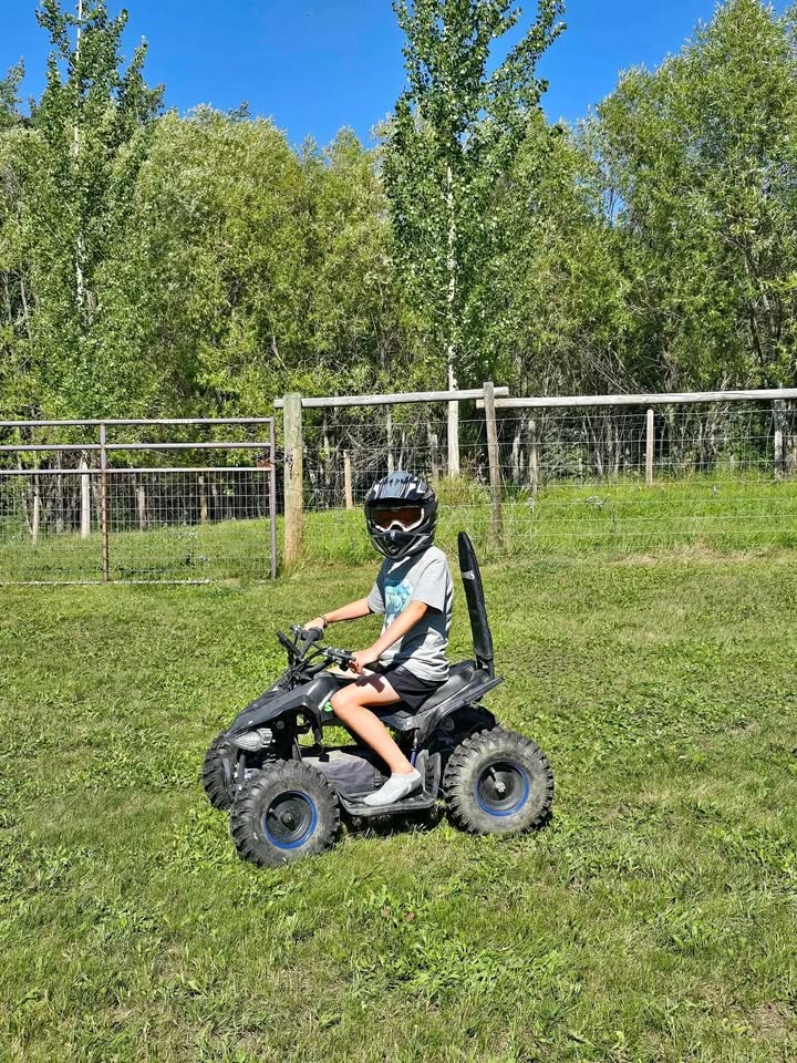 Kids electric quad