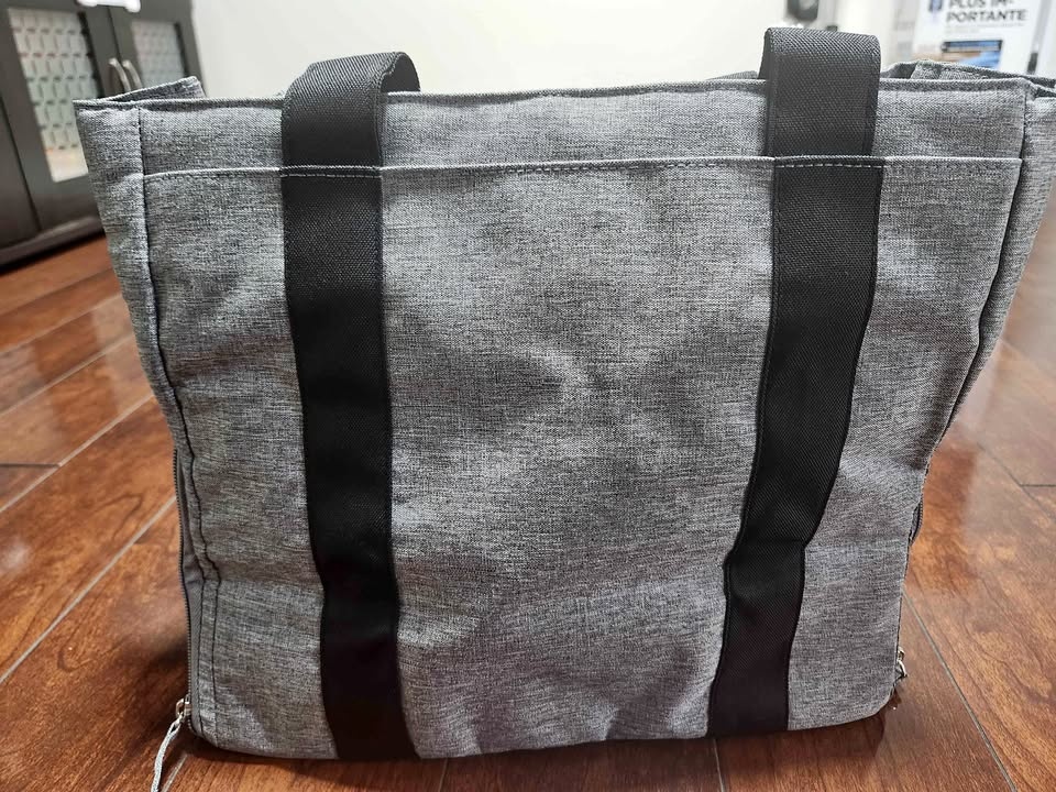 Dr brown brest pump carryall