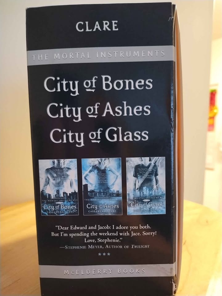 The Mortal Instruments Series: Books 1-3 - photo 3