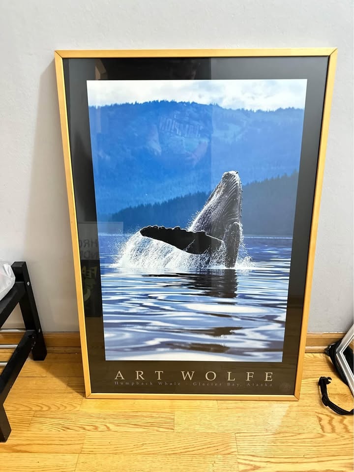Framed artwork x3 - photo 5