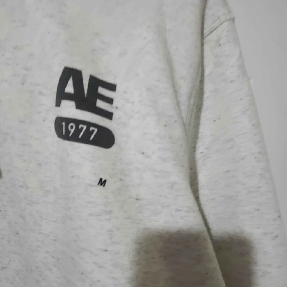 Brand new Men american eagle sweater and hoodie - photo 2