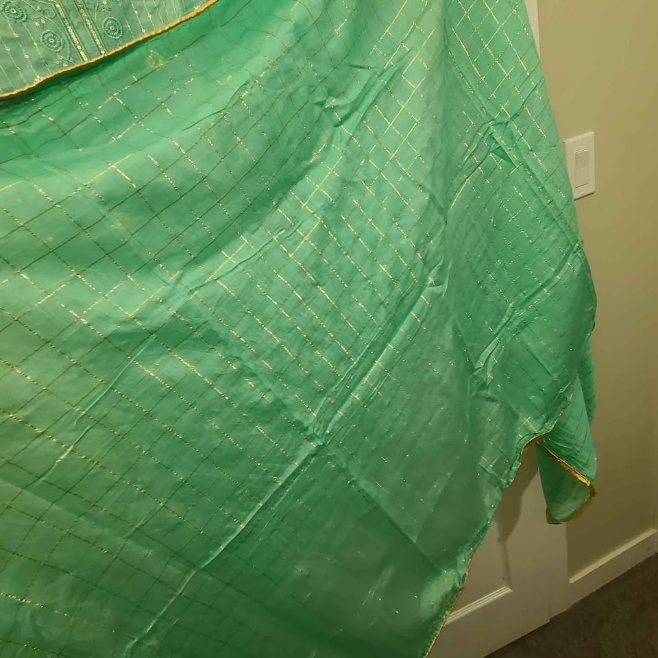 Punjabi Suits (Size 38) - 2 for $50 - photo 4
