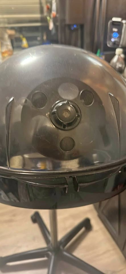Pibbs Misty Professional hair Steamer