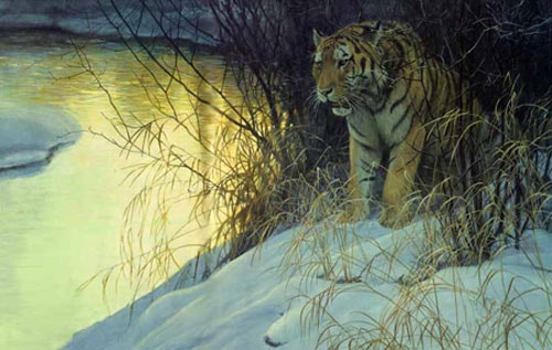 Robert Bateman Siberian Tiger Print