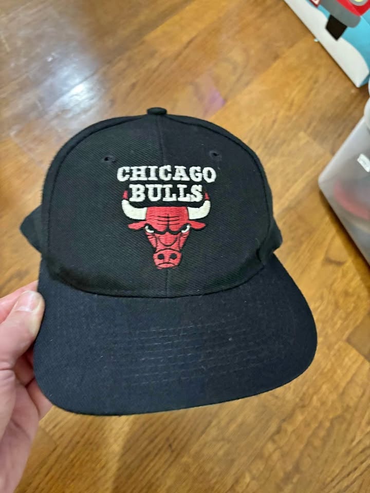 Chicago bulls