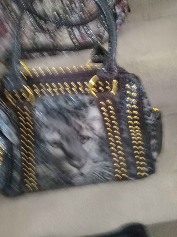 Assorted purses for sale