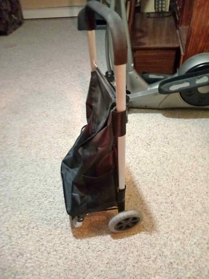 Shopping bag on wheels