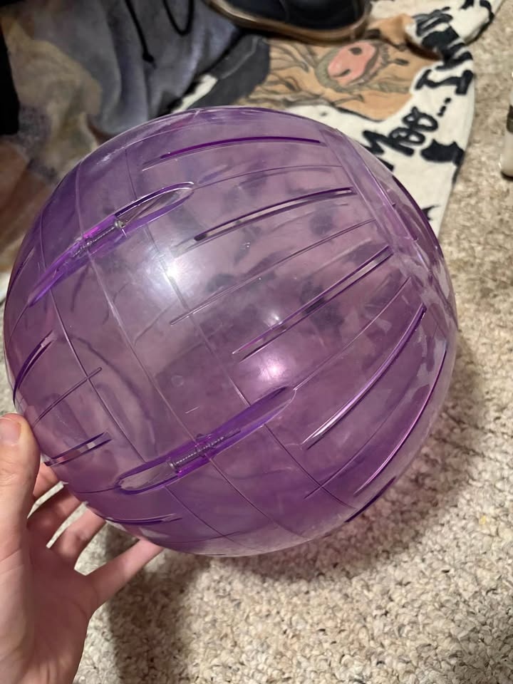Large animal ball🥕