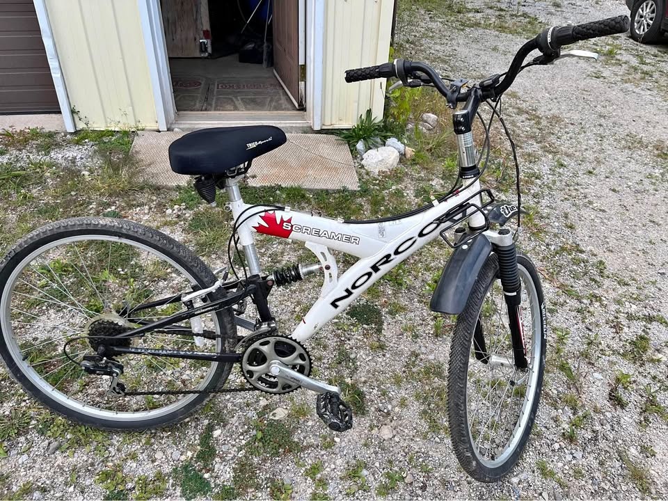 Norco screamer 17inch bike