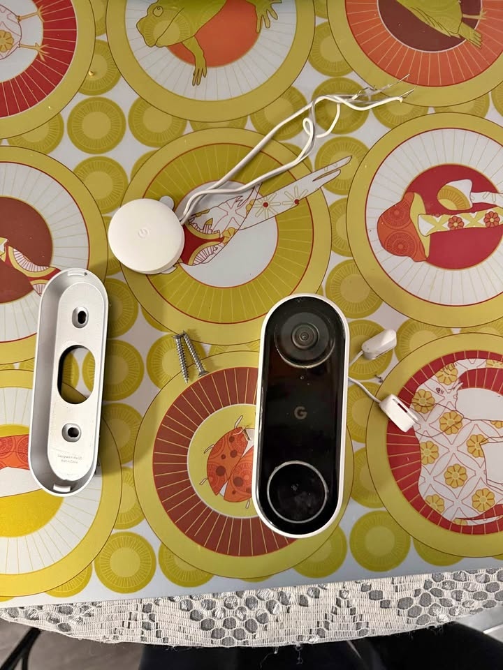 Nest hello