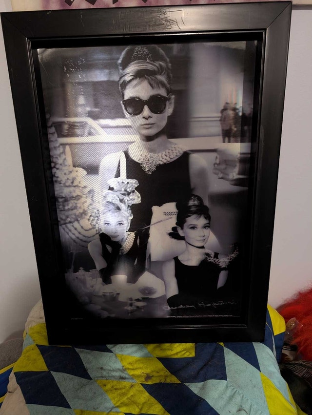 Audrey Hepburn Framed Art