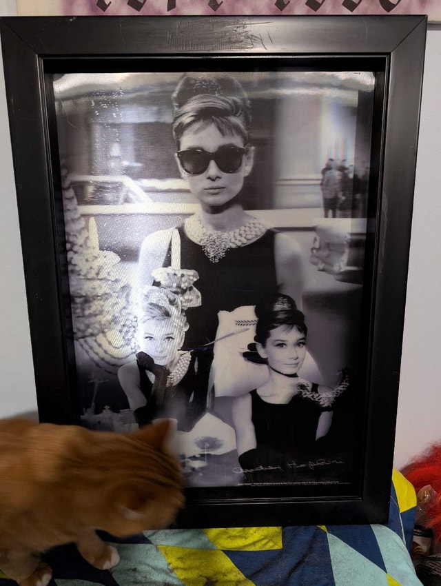 Audrey Hepburn Framed Art - photo 2