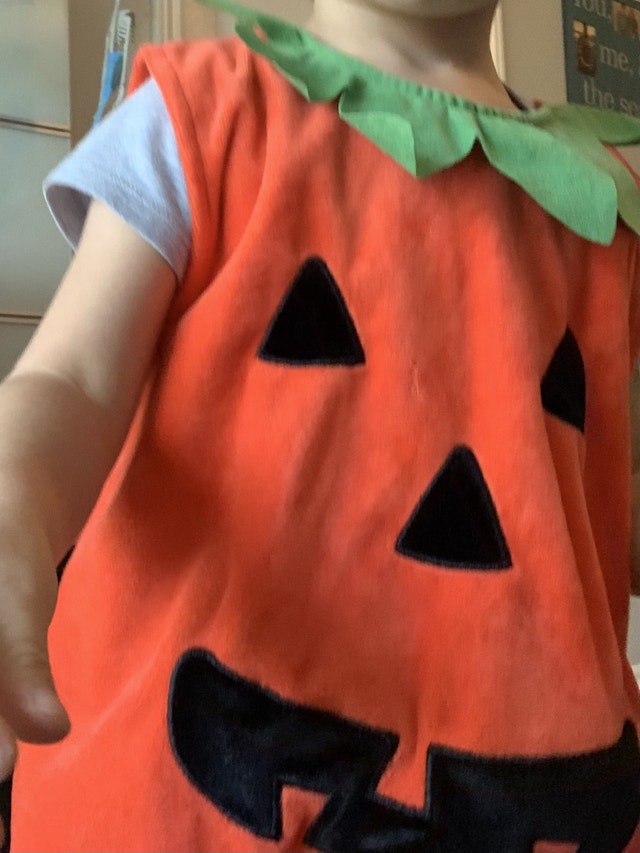 12-24m pumpkin costume - photo 3
