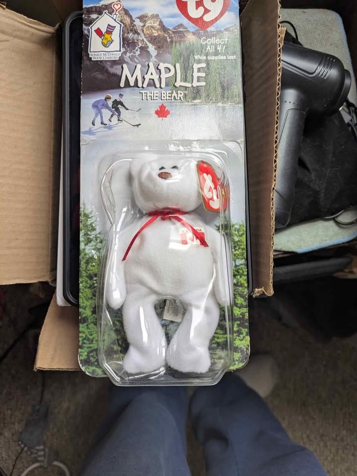 Rear Canadian Maple beanie baby