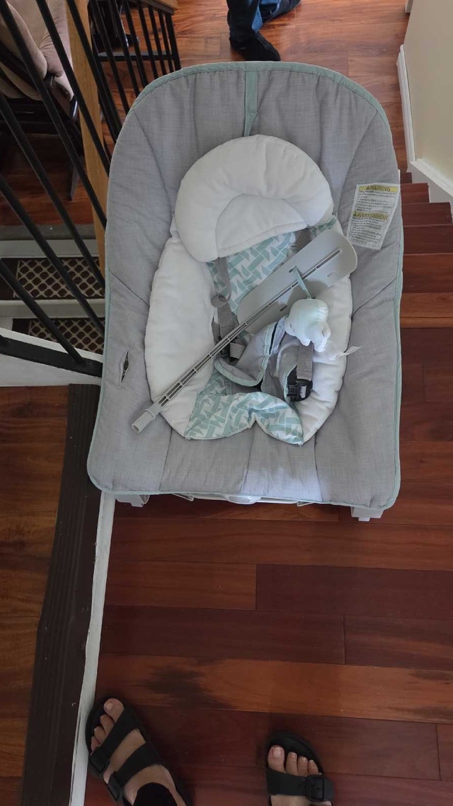 Ingenuity Baby Bouncer