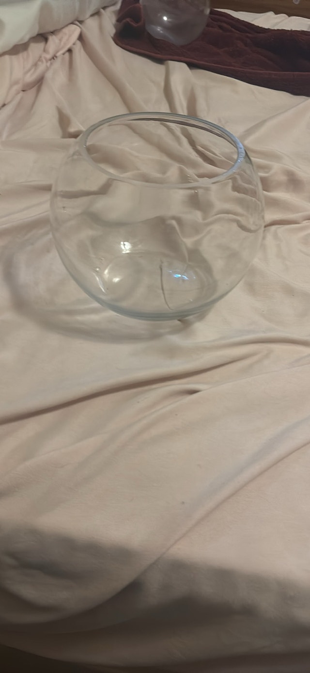 Glass fish bowl