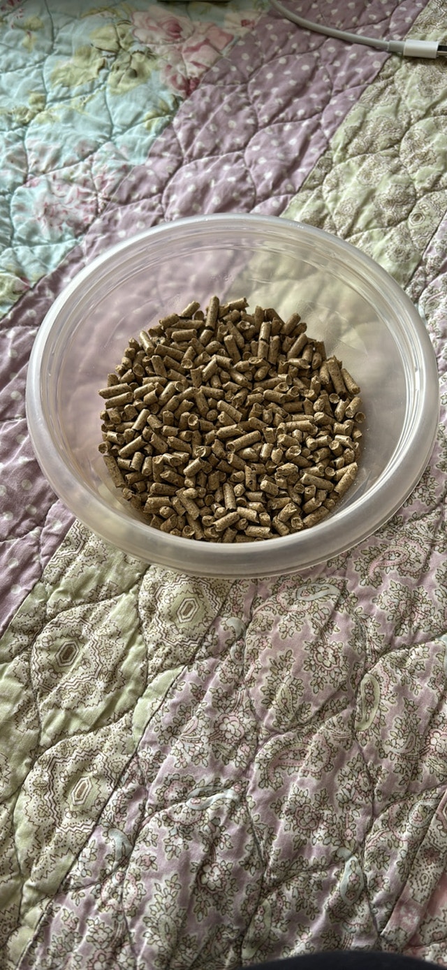 Shrimp food For your pet shrimps