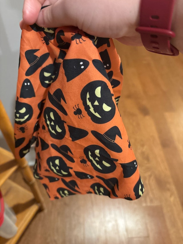 Dog bandanna