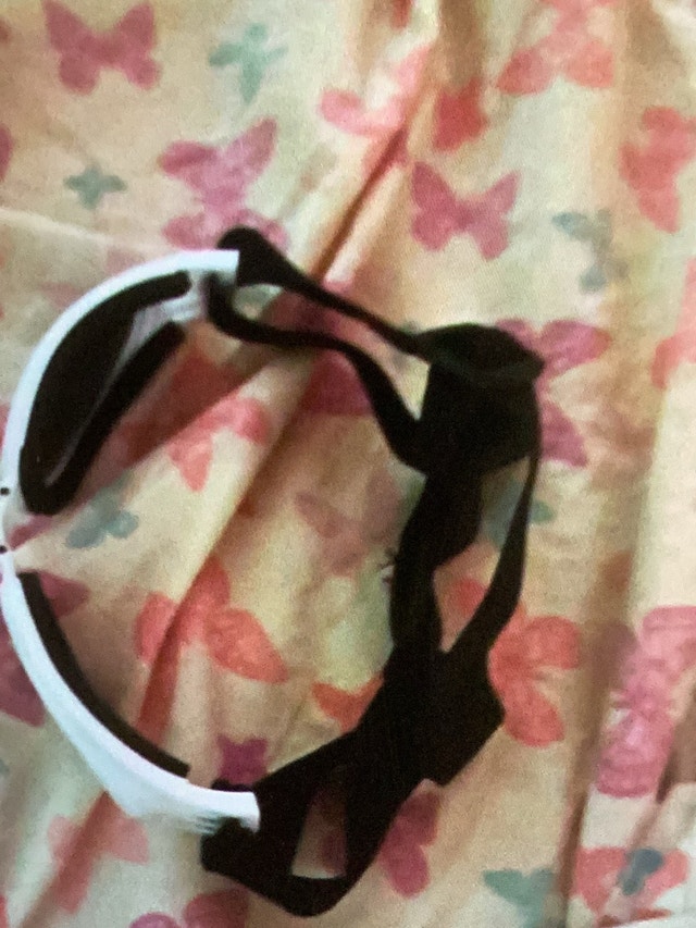 Dog sunglasses