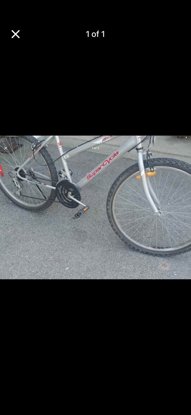 Supercycle 1500 Bike
