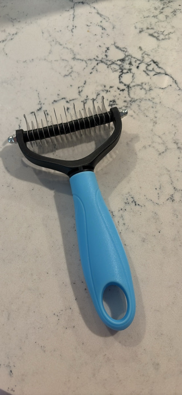Dog brush