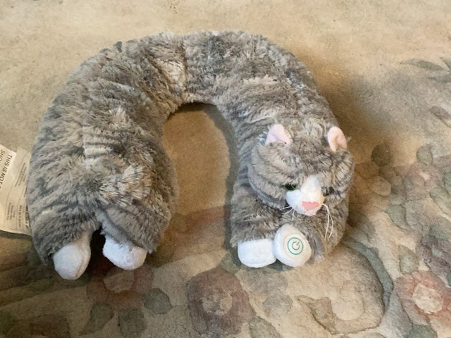 Cat massaging