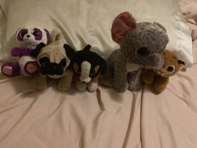 Plush Animals