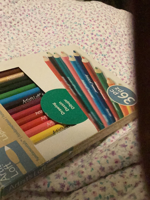 Artist's Loft Colour Pencils