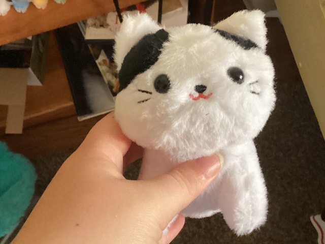 Cat Plush