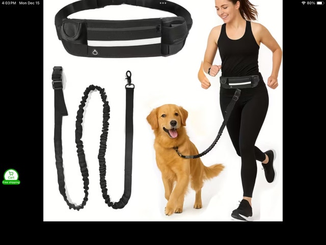 Hands-Free Dog Leash
