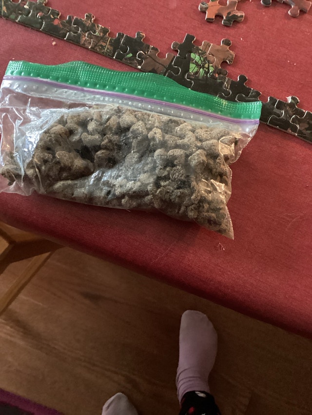 Guinea pig food